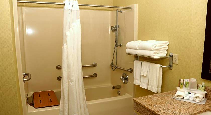 Holiday Inn Express Hotel &amp; Suites Saginaw By IHG