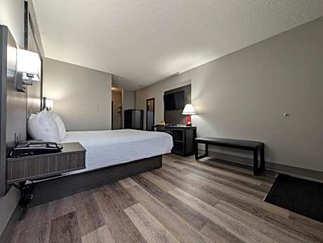 King Room - Pet Friendly/Non-Smoking