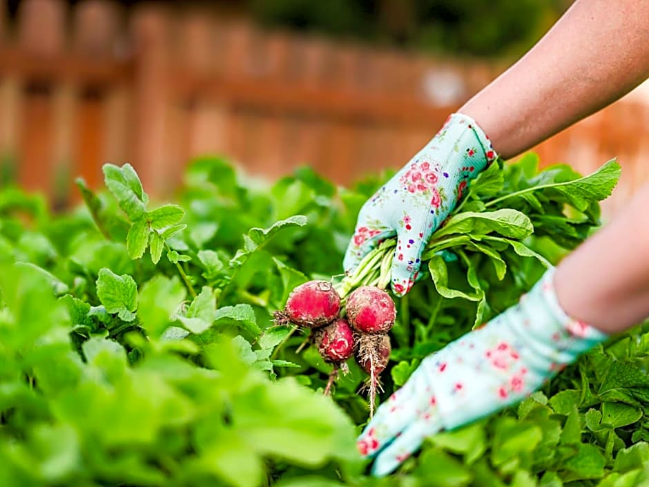 BreakFree Peninsula Surfers Paradise