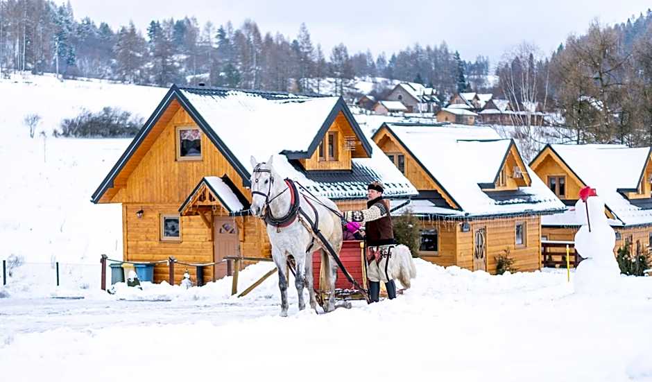 Zaciszne Domki w Kluszkowcach z Sauną i Balią