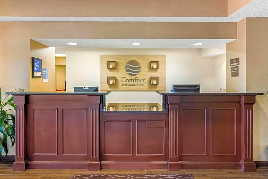 Comfort Inn & Suites LaGrange East