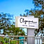 Olympus Apartments