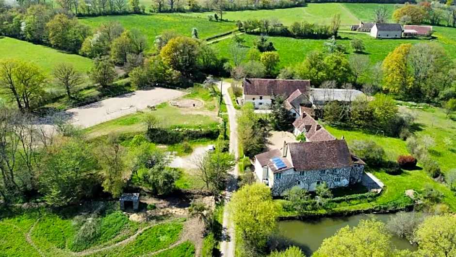 Ferme équestre & Chambres d'hôtes Gateau Stables proche Guédelon
