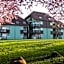 VVF Plaine d'Alsace Obernai Strasbourg