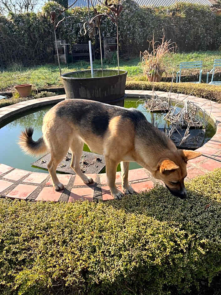 Drakensberg Inkosana Lodge