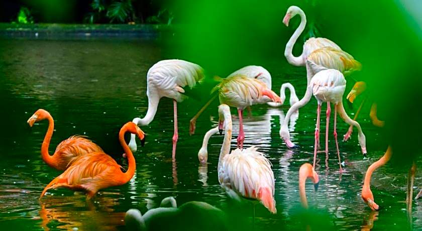 7 Days Inn Guangzhou Zoo Huanghuagang Metro Station