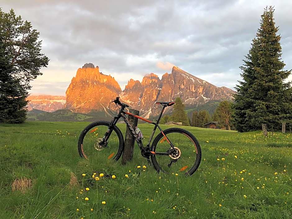 Saltria - your Alpine experience