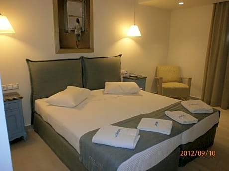 Standard Double or Twin Room with Garden View