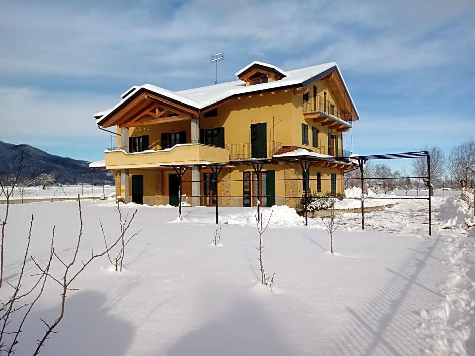 B&B L'albero e le stelle