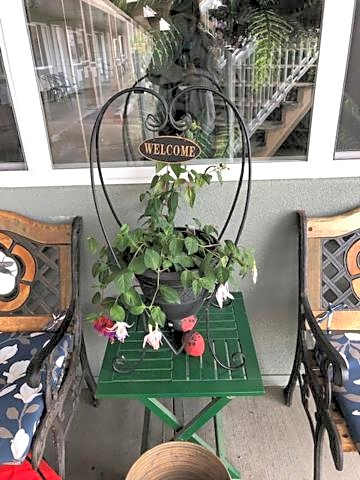 Shoreside Inn & Suites