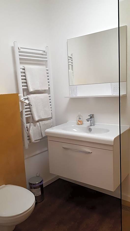 Gasthof-Pension Schwarzer Bär