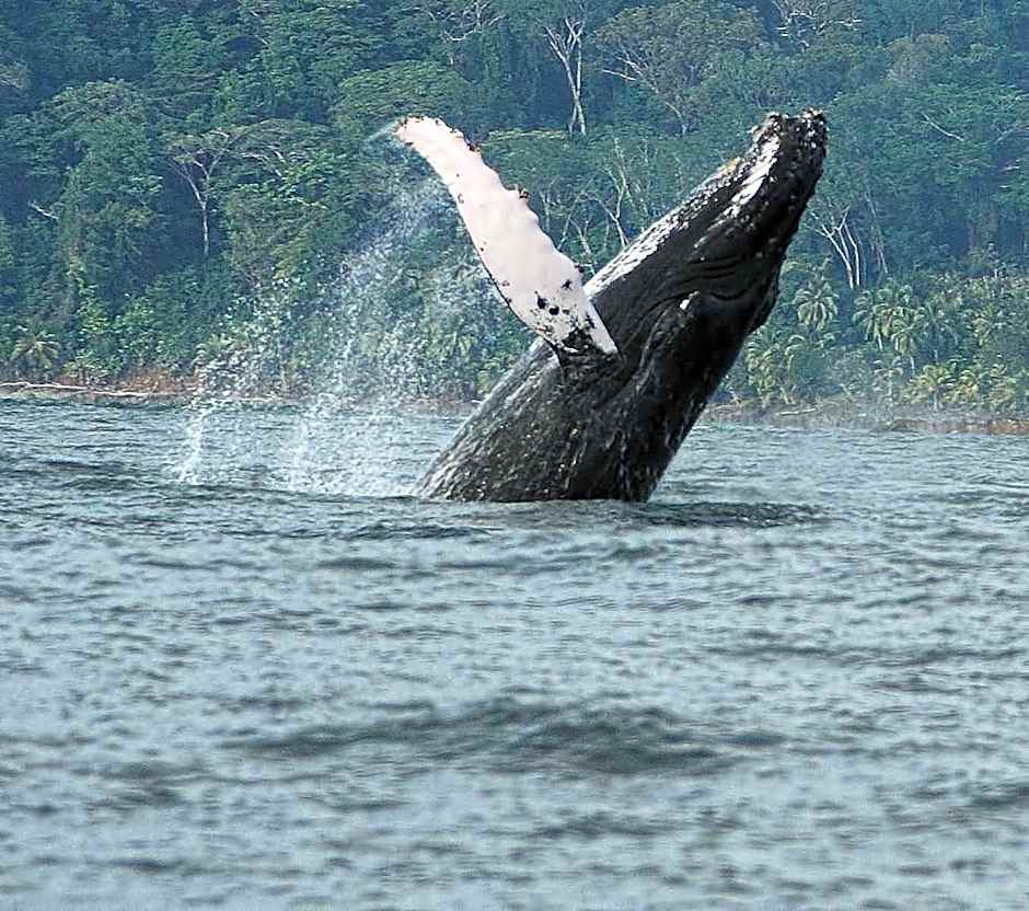 Hotel Cuna del Angel