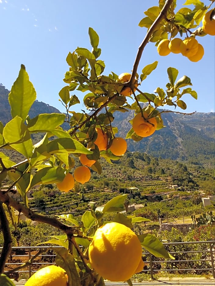 Sa Tanqueta de Fornalutx