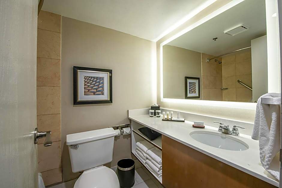 Embassy Suites By Hilton Hotel Chicago-Schaumburg/Woodfield