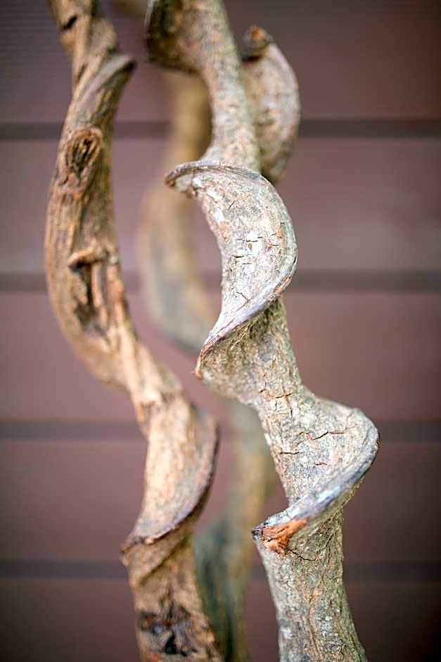 Hotel Europa Lignano