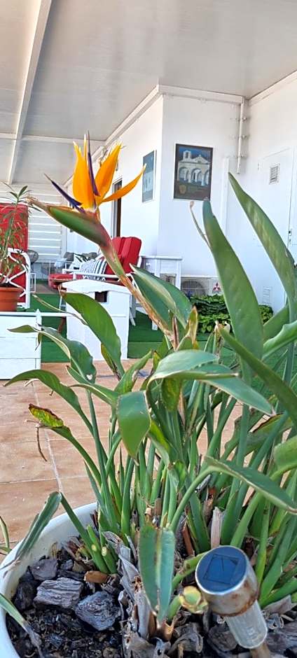 Hotel Boutique Las Arenas