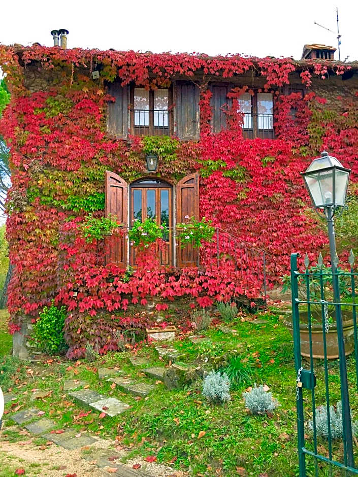 B&B Appartamenti Villa del lago