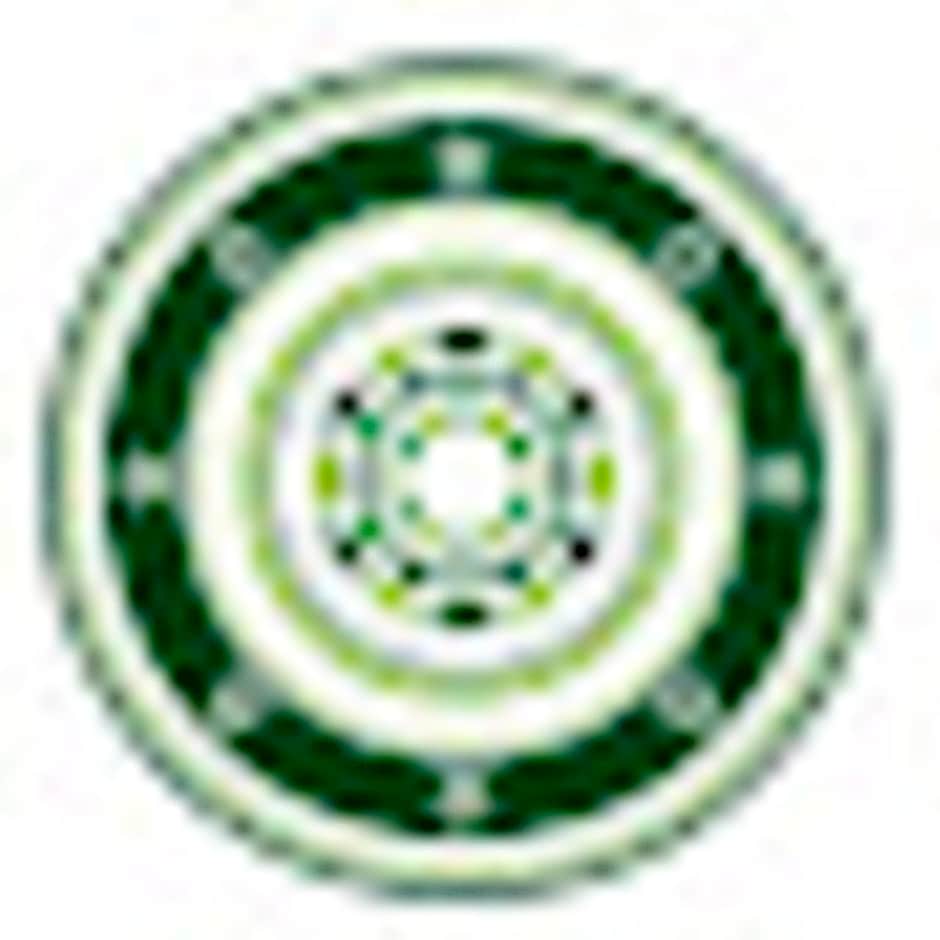 Casa Shambhala Malinalco