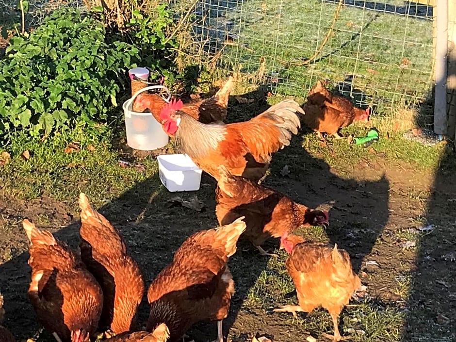 Chart House Bed and Breakfast