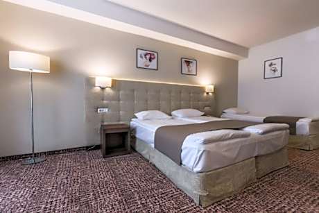 Triple Room with Balcony Grand Belvedere