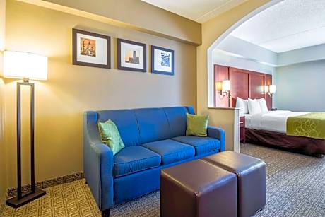 1 King Bed, Suite, Nonsmoking