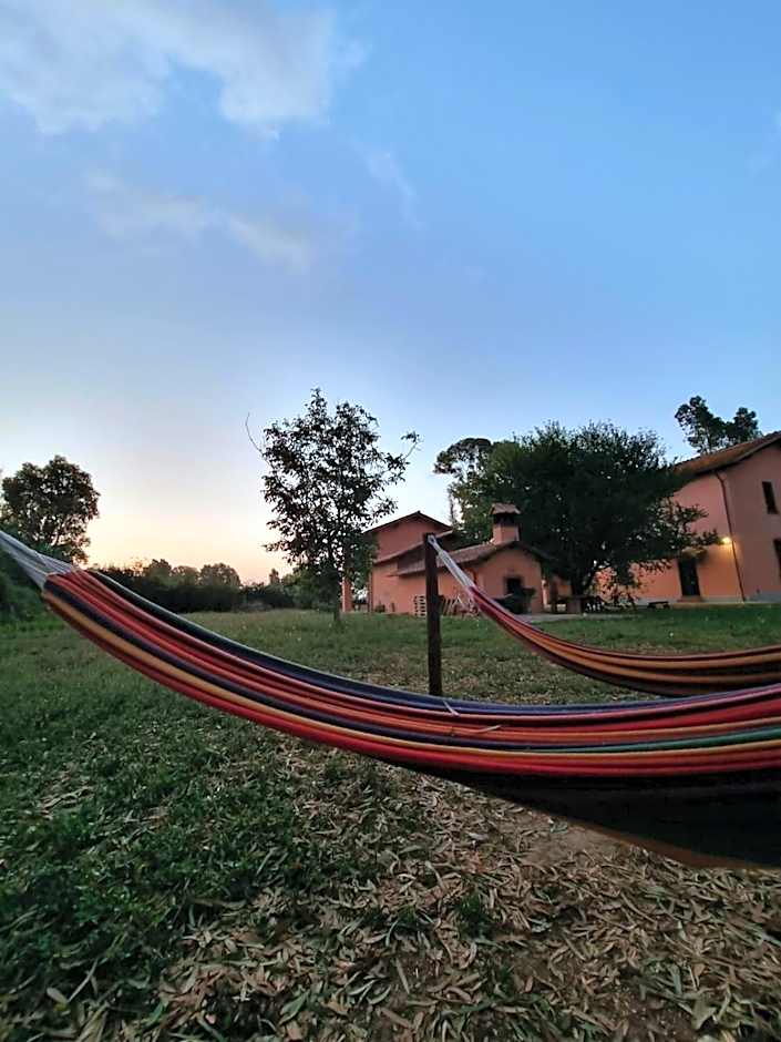 Escuelita Viva