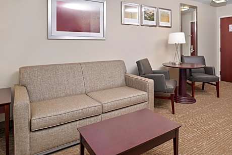 King Suite with Sofa Bed