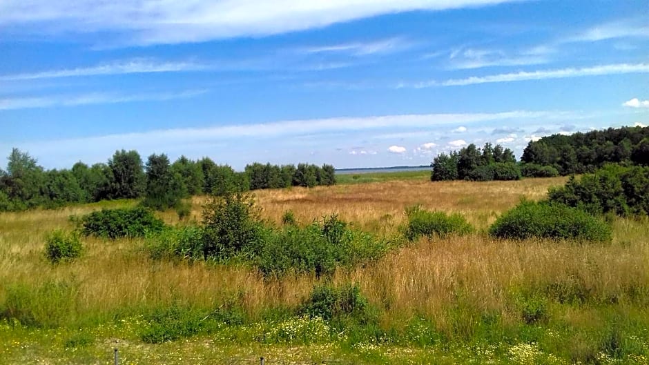 HAPPY DOMKI Z SAUNĄ Podamirowo