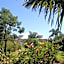 Domaine des Oiseaux Réunion