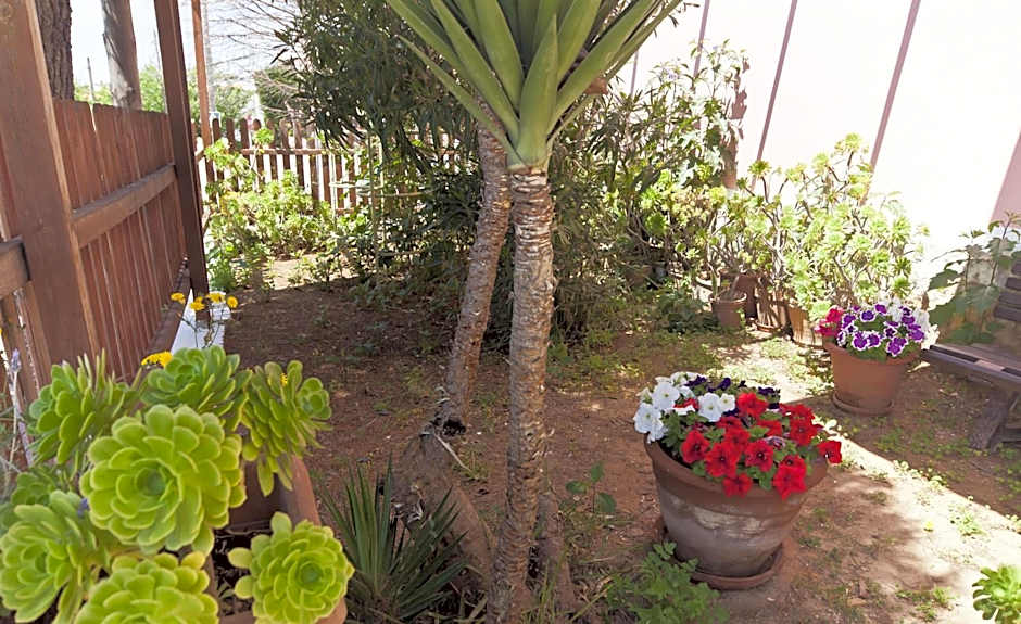 Cala Bona y Mar Blava