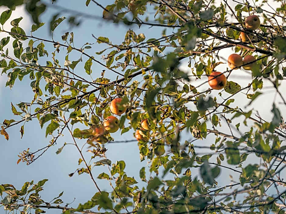 Apparthotel "Landhaus Veronika"