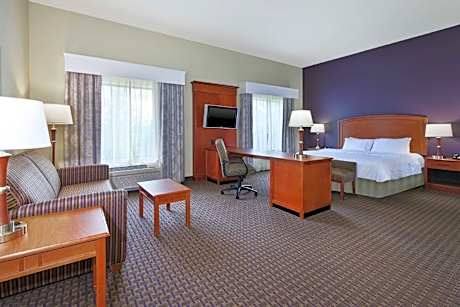 1 KING MOBILITY/HEARING ACCESS W/TUB NONSMOK