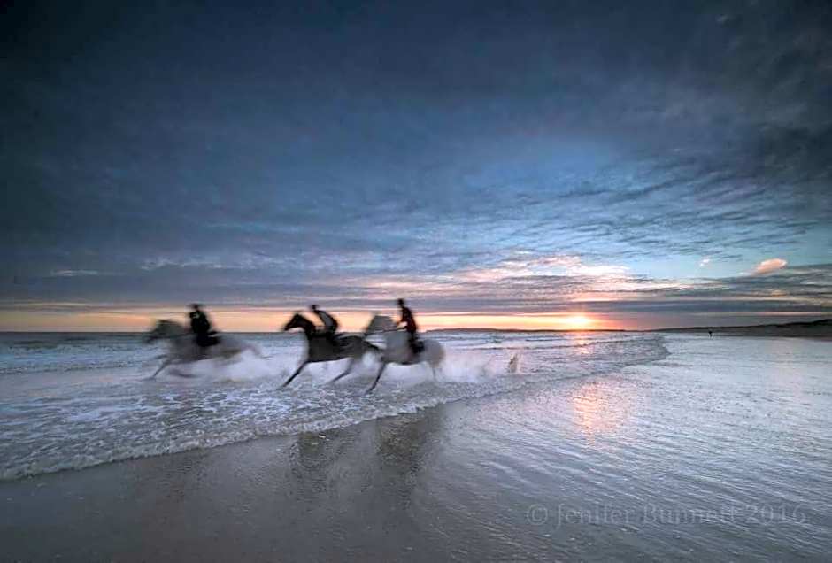 Lodge MP626 - Camber Coast Holidays Ltd