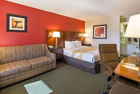 1 King Bed, Efficiency, Nonsmoking, Upgrade