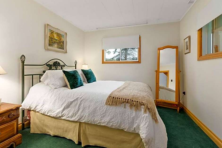 Bear Essentials Hideaway