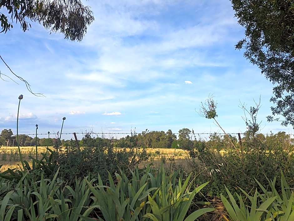 The Cudgee at Mudgee