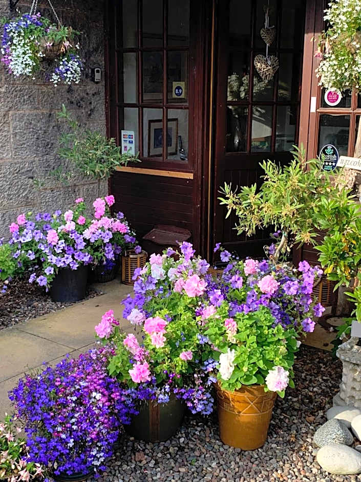 The Old Station Guest House