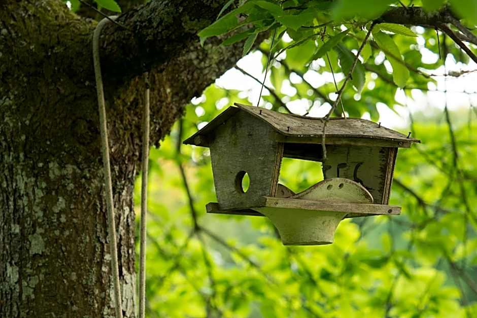 La Clairière du Verbamont