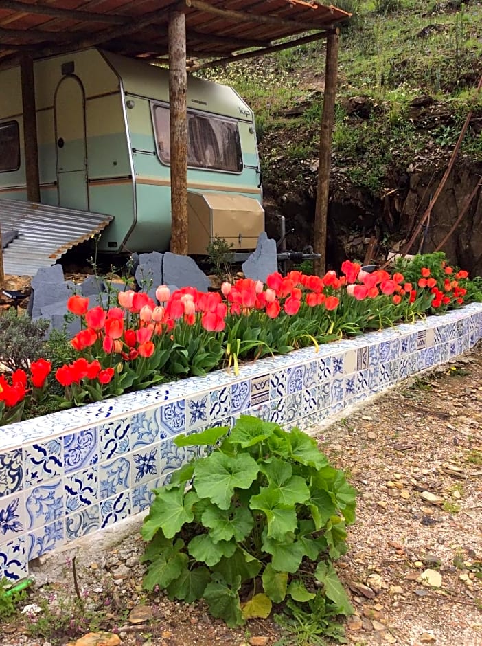 Guest Room Agro-turismo Quinta da Fonte Bed&Breakfast