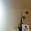 Boutique Hotel VIVA CREATIVO