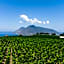 Tenuta di Castellaro Winery & Resort