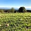 Domaine de Campras B&B