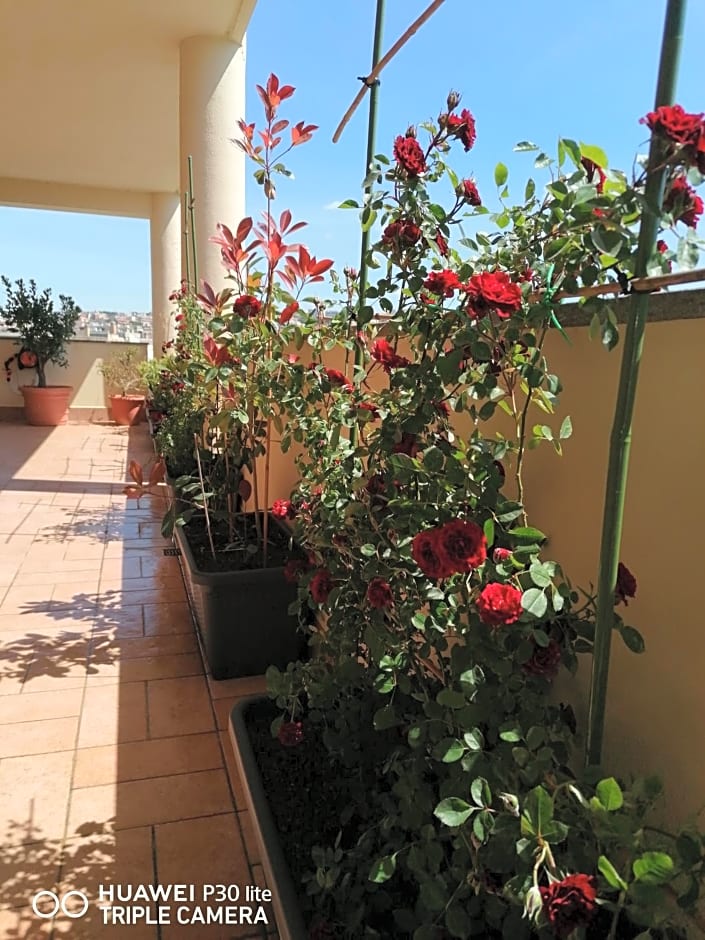 B&BYanet's Beautiful House