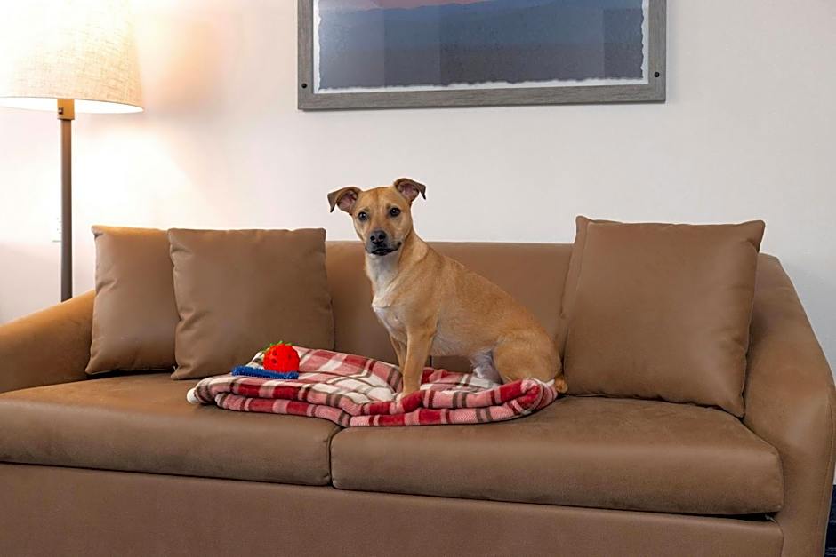 Fairfield Inn & Suites by Marriott Buffalo Airport