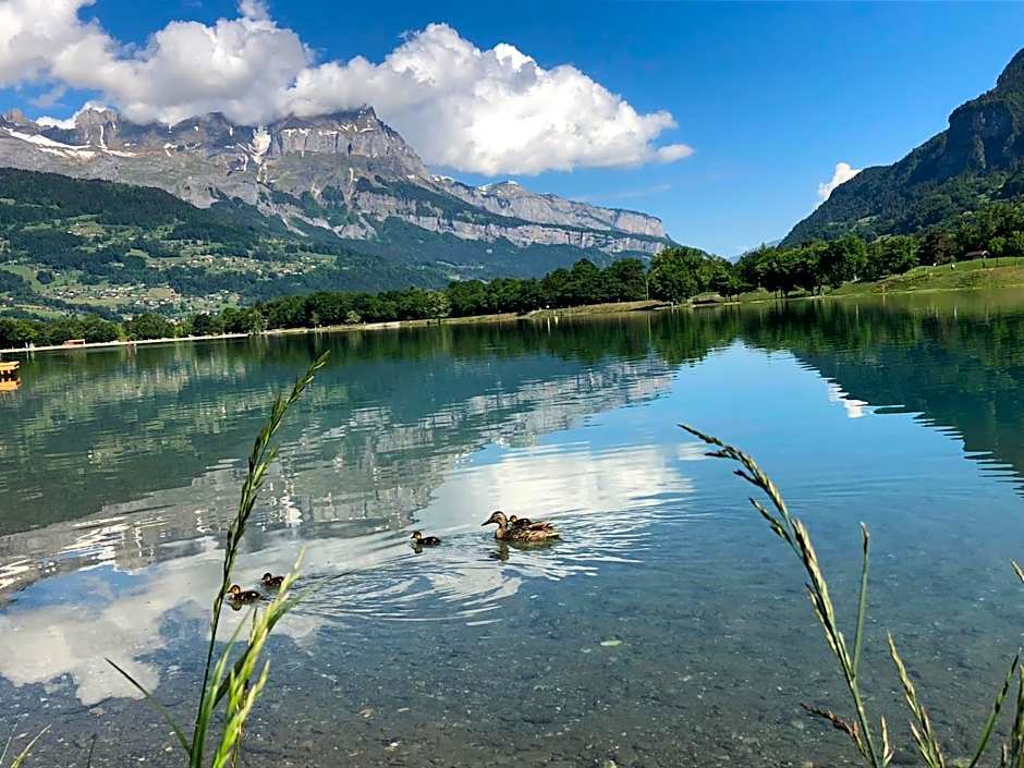 Le Moulin des Olirics