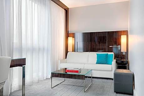 Junior King Suite with Sofa Bed