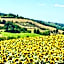 Casa Stella Country House