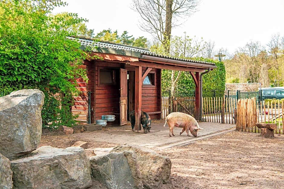 EuroParcs De Achterhoek