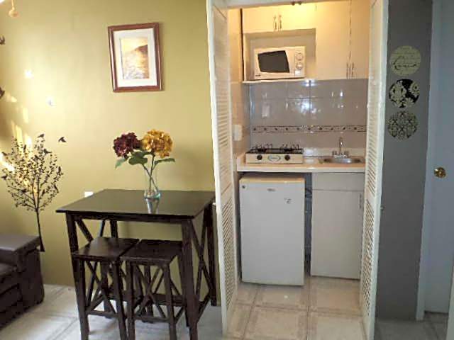Satya Suites & Portal San Angel Flats