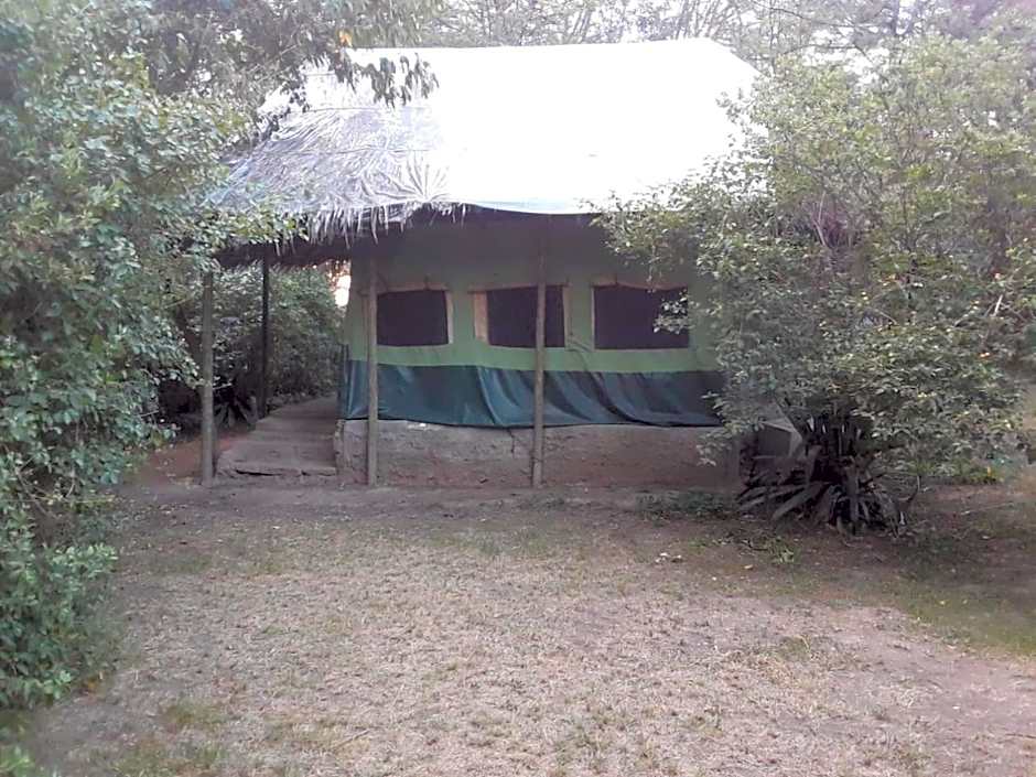 Cactus Eco Camp and Lodge
